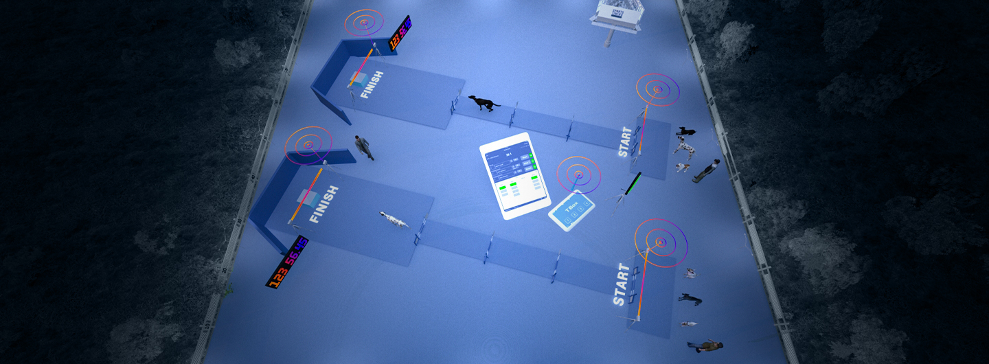 Flyball Sports Timing Systems